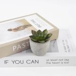 CAMAS - Artificial Succulent Plant in Pulp Pot - Image 2