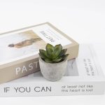 CAMAS - Artificial Succulent Plant in Pulp Pot - Image 3