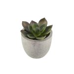 CAMAS - Artificial Succulent Plant in Pulp Pot - Image 4