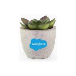 CAMAS - Artificial Succulent Plant in Pulp Pot - Image 5